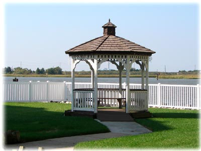 Sample View