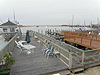 916 Palen Ave, Ocean city New Jersey. Bayfront first floor. Three bedrooms, two baths, central air conditioning, parking for one car. Rented weeks are indicated by a minus sign. 